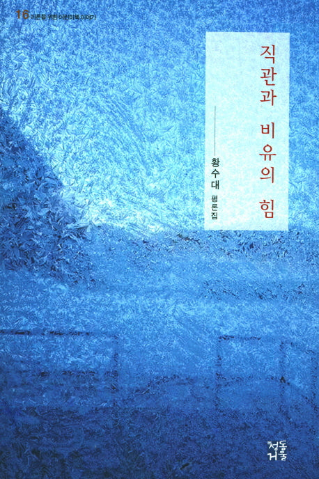 직관과 비유의 힘(어른을 위한 어린이책 이야기 16)