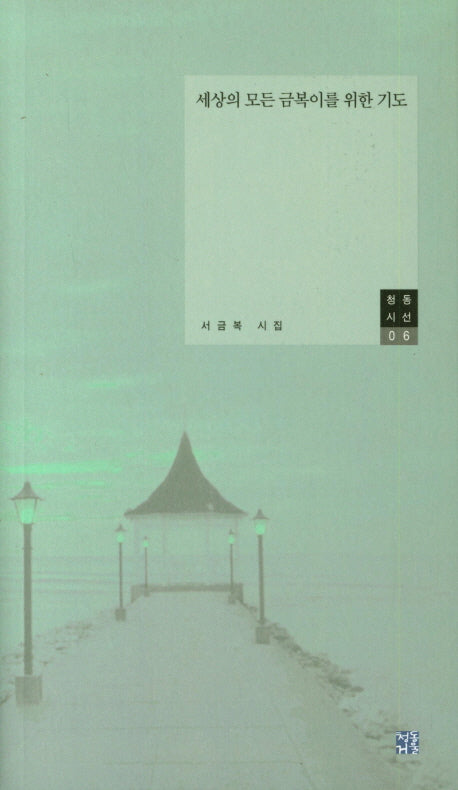 세상의 모든 금복이를 위한 기도(청동시선 6)