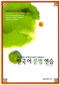 한국어 문법 연습(Paperback)