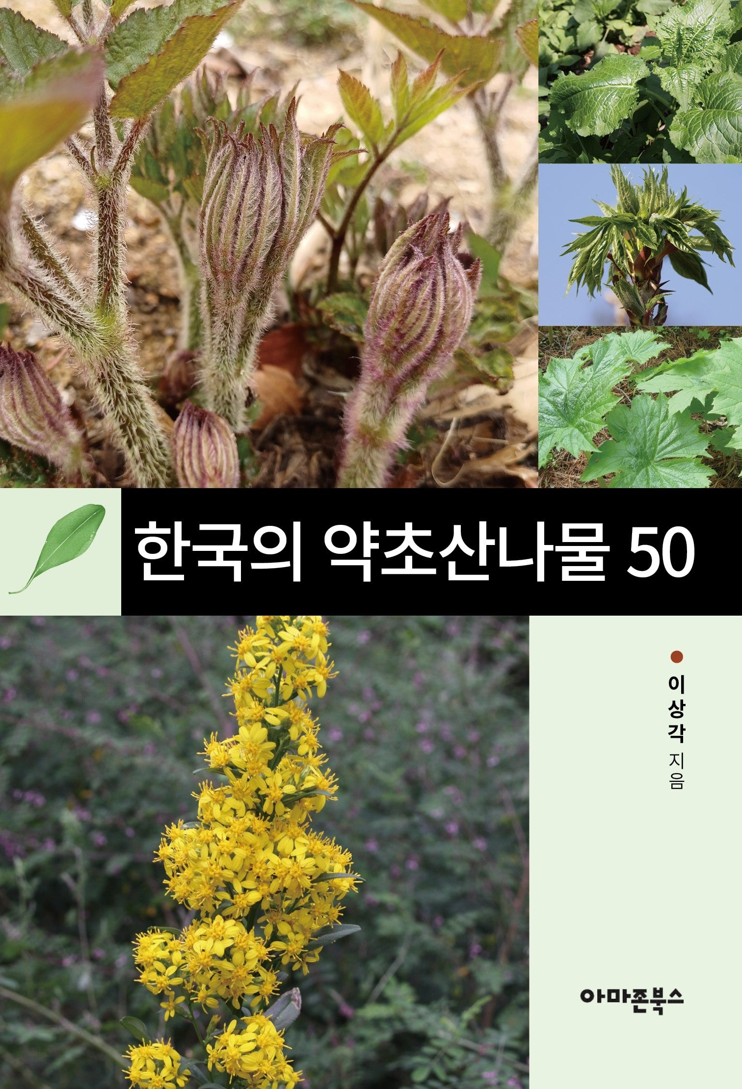한국의 약초산나물 50