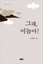 그래, 이놈아!(문학공간시선 307)