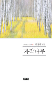 자작나무(문학공간시선 517)