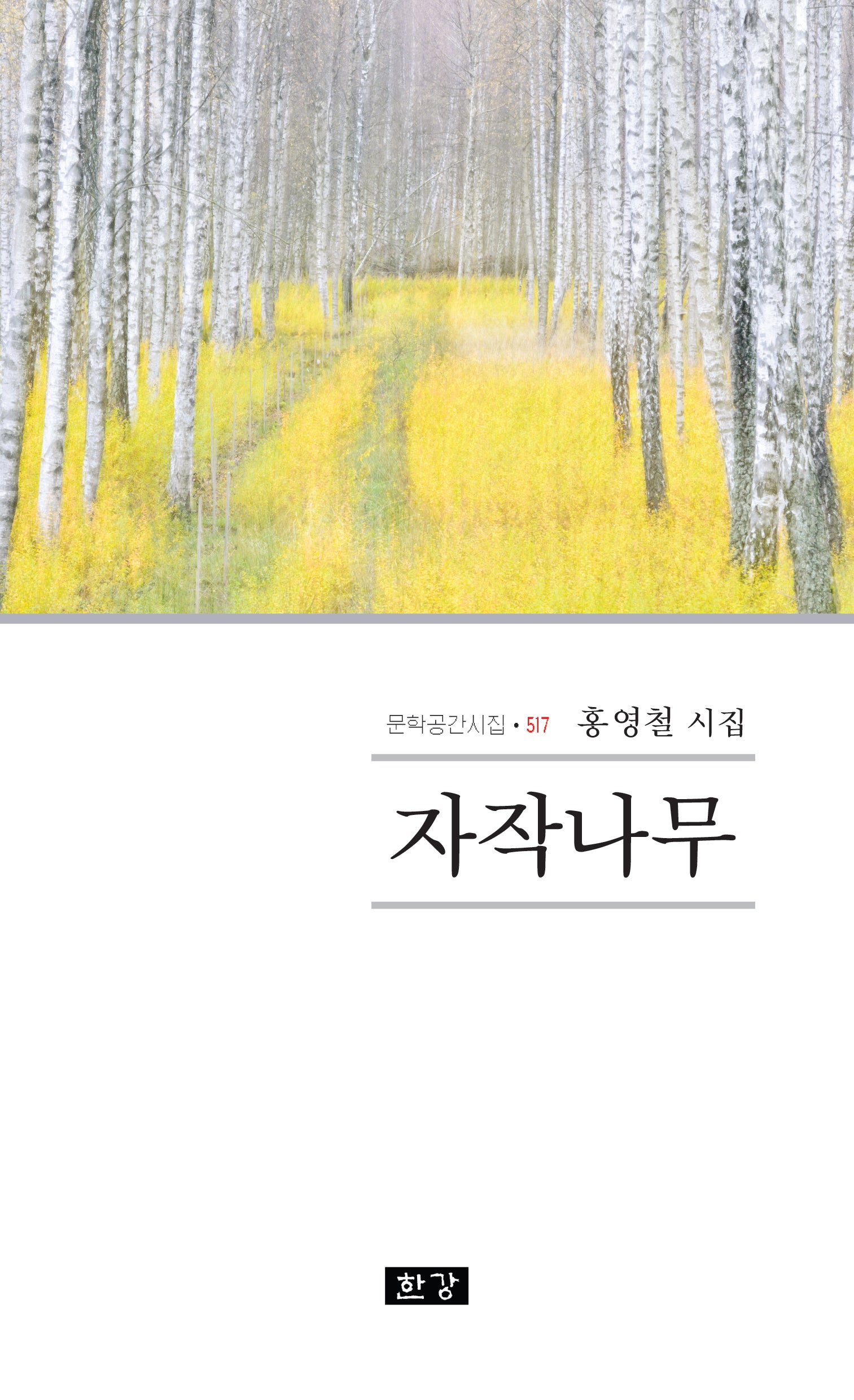 자작나무(문학공간시선 517)