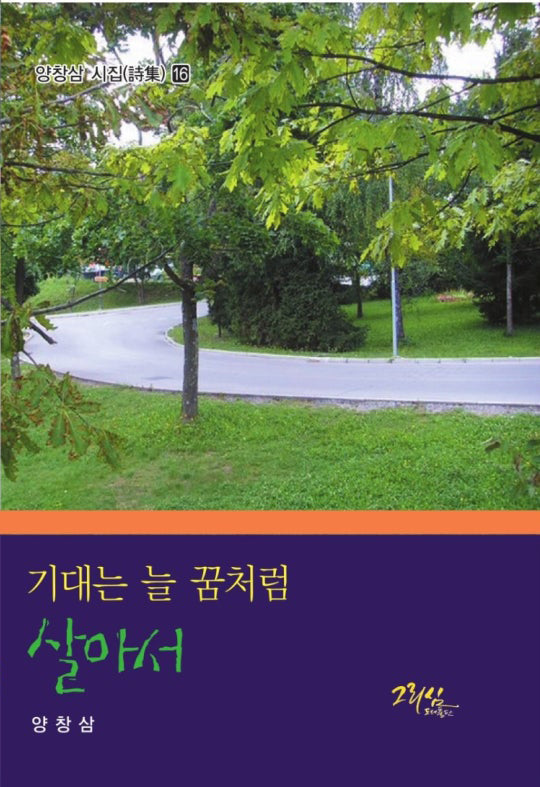 기대는 늘 꿈처럼 살아서(양창삼 시집 16)