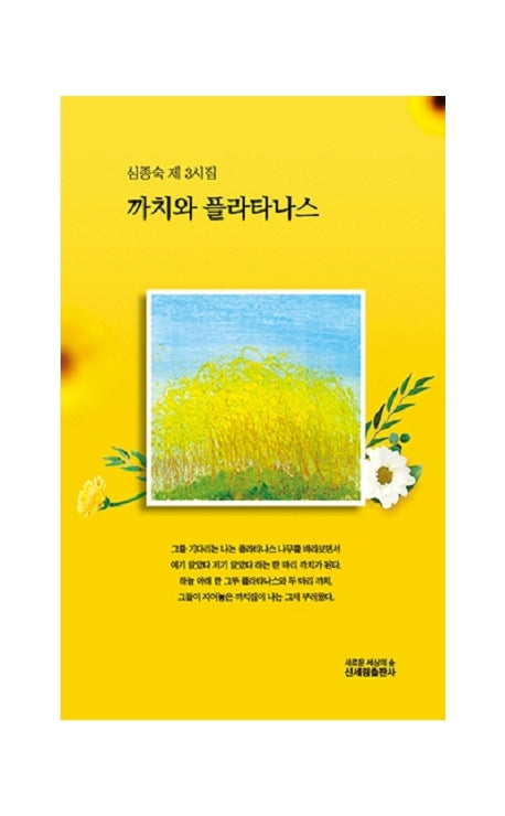 까치와 플라타나스