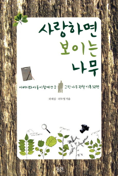 사랑하면 보이는 나무