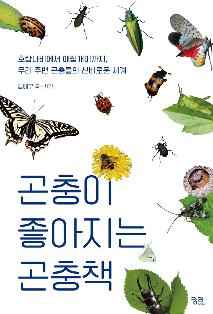 곤충이 좋아지는 곤충책
