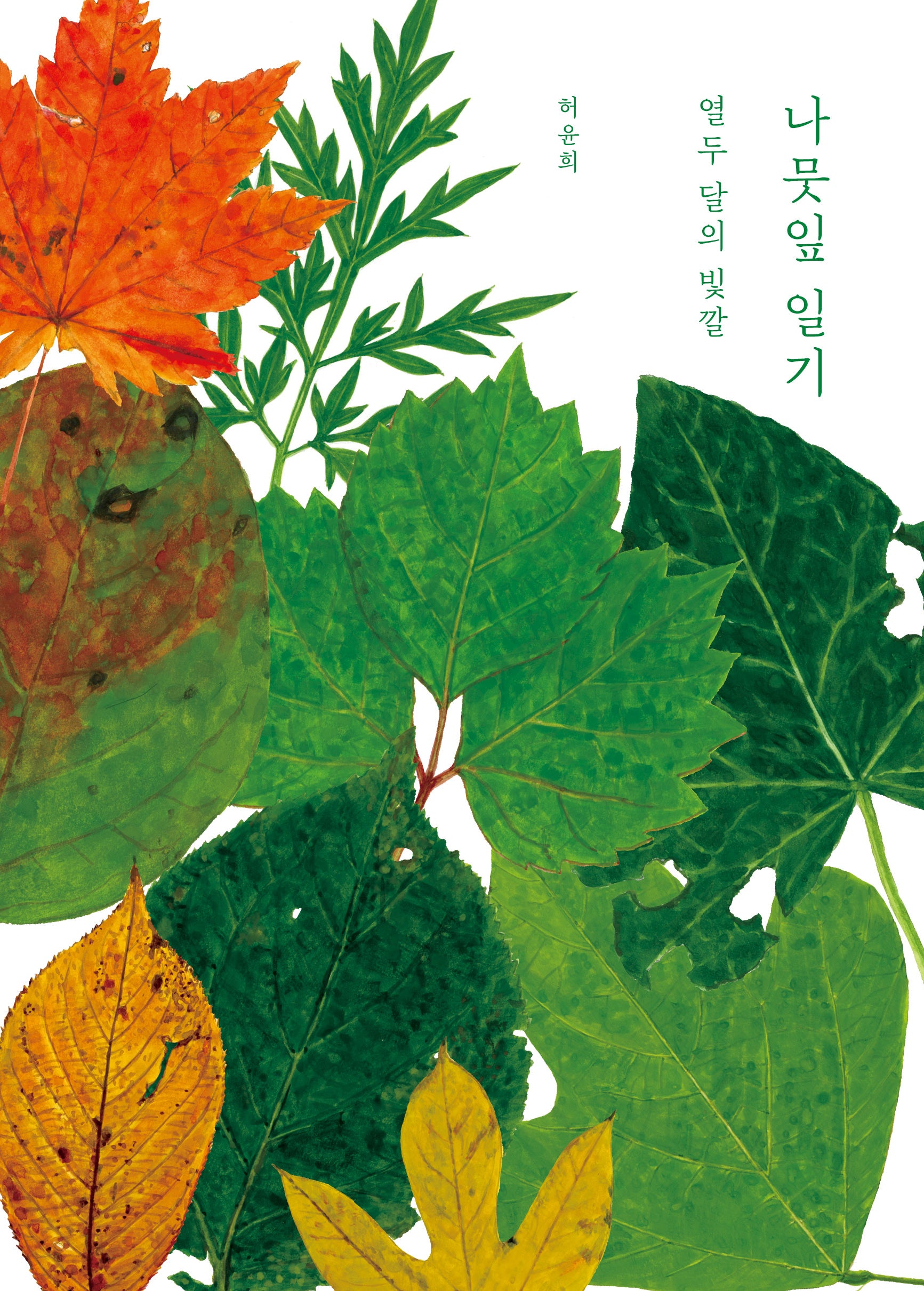 나뭇잎 일기: 열두 달의 빛깔(반양장)