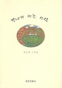 칸나가 피는 뜨락