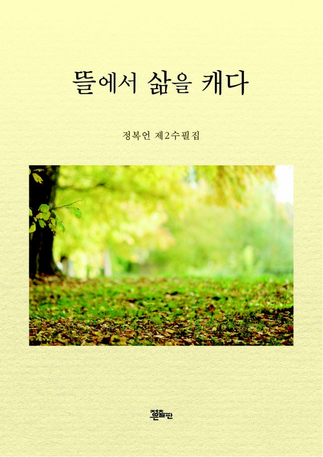 뜰에서 삶을 캐다