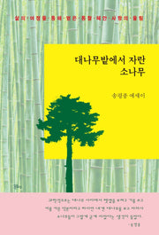 대나무밭에서 자란 소나무