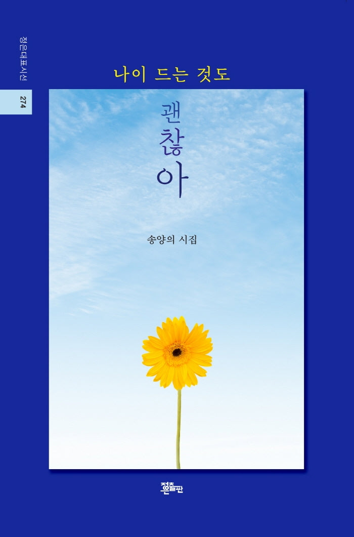 나이 드는 것도 괜찮아(정은대표시선 274)