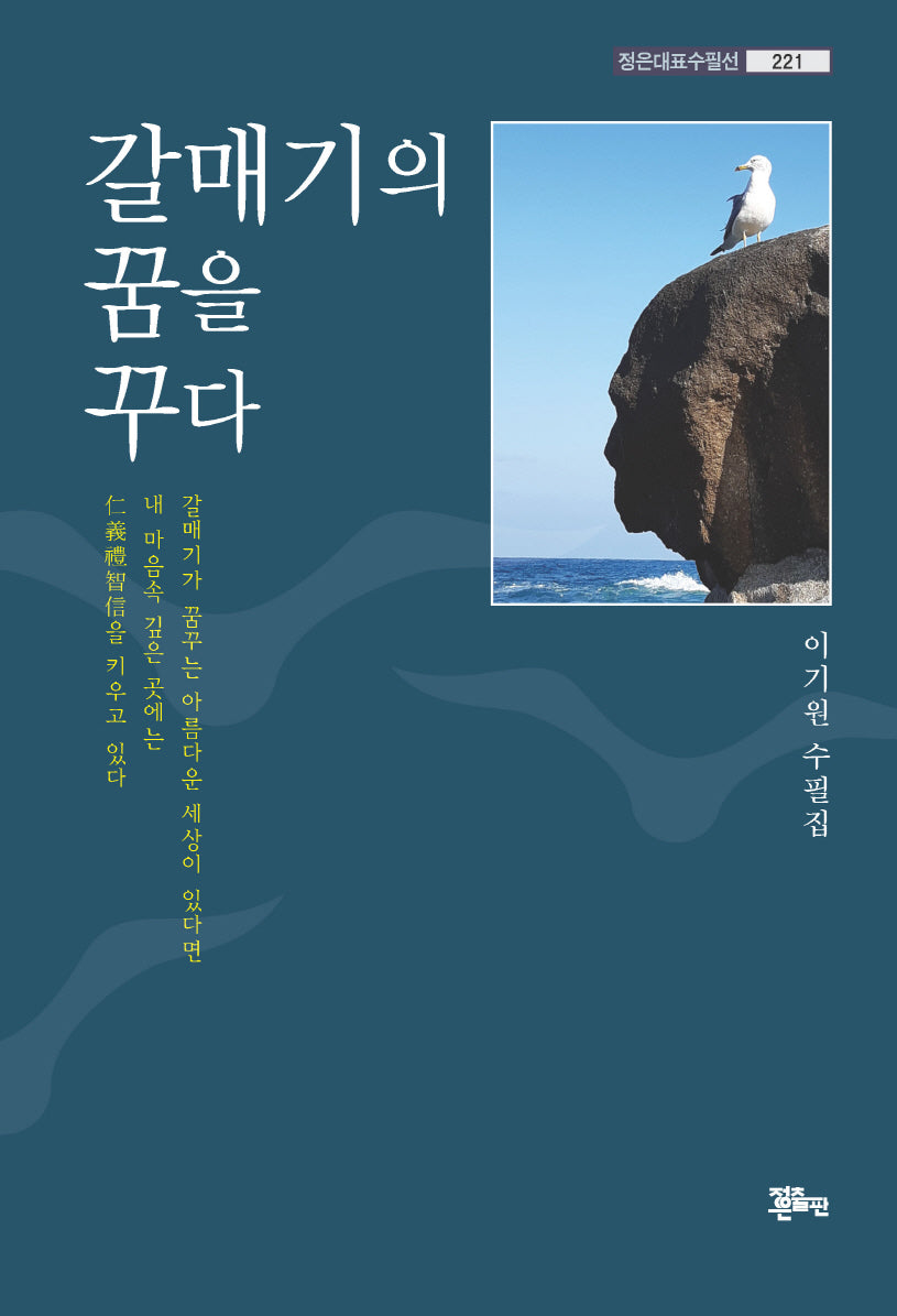 갈매기의 꿈을 꾸다(정은대표수필선 221)