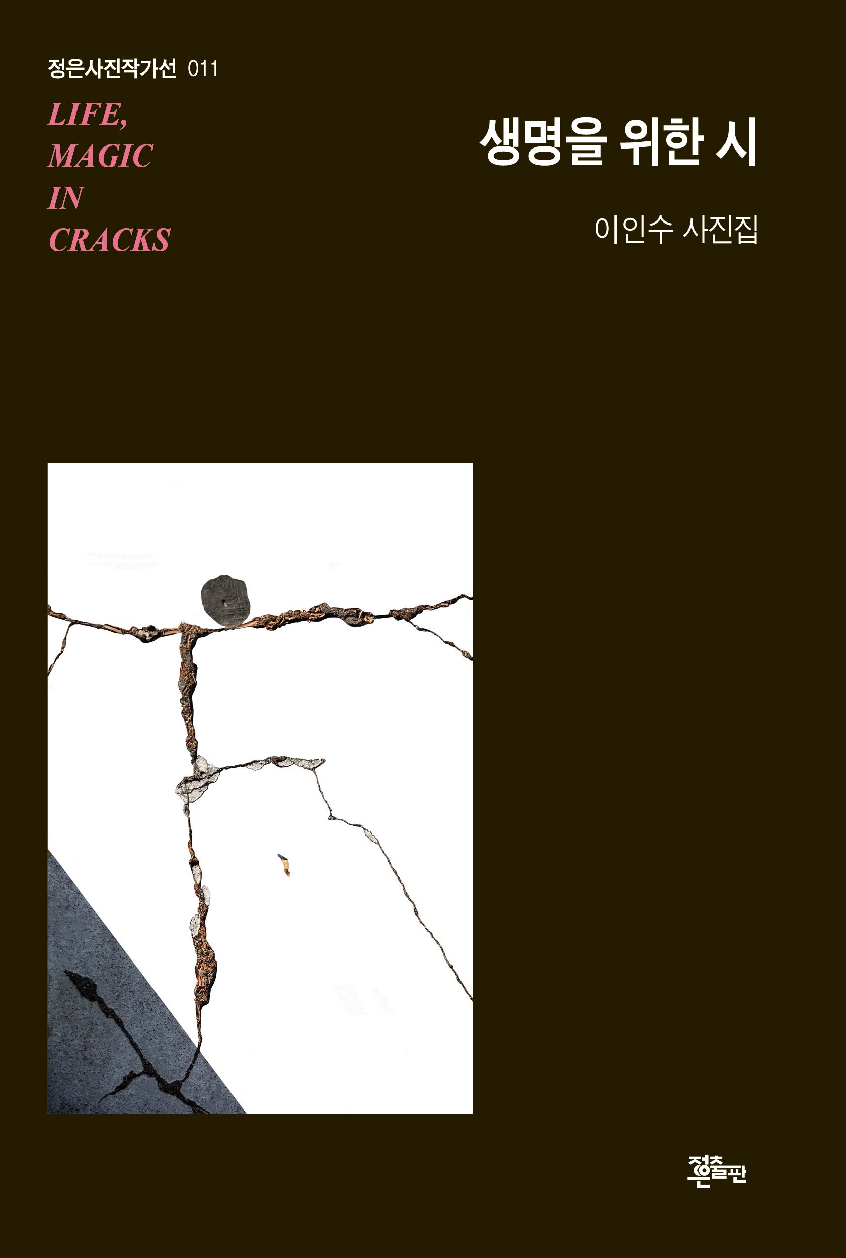 생명을 위한 시(정은사진작가선 11)