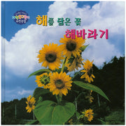 해를 닮은 꽃 해바라기(창의력을 키워주는 과학탐구원리 자연관찰 1)(양장본 HardCover)