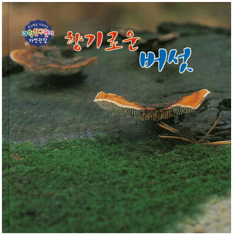 향기로운 버섯(창의력을 키워주는 과학탐구원리 자연관찰 14)(양장본 HardCover)