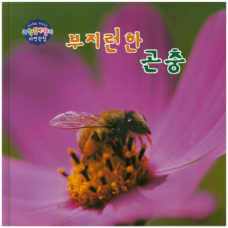 부지런한 곤충(창의력을 키워주는 과학탐구원리 자연관찰 17)(양장본 HardCover)