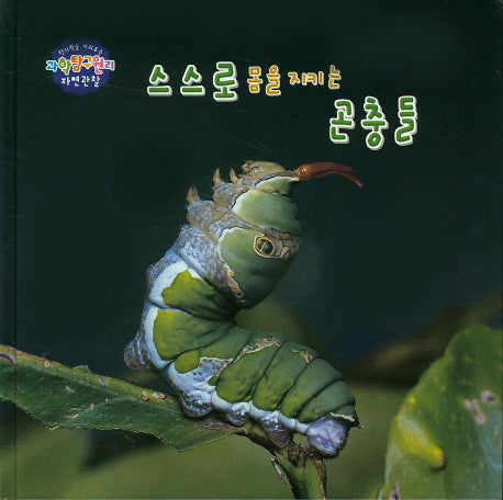 스스로 몸을 지키는 곤충들(창의력을 키워주는 과학탐구원리 자연관찰 18)(양장본 HardCover)
