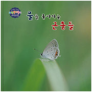 물을 좋아하는 곤충들(창의력을 키워주는 과학탐구원리 자연관찰 19)(양장본 HardCover)