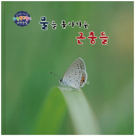 물을 좋아하는 곤충들(창의력을 키워주는 과학탐구원리 자연관찰 19)(양장본 HardCover)