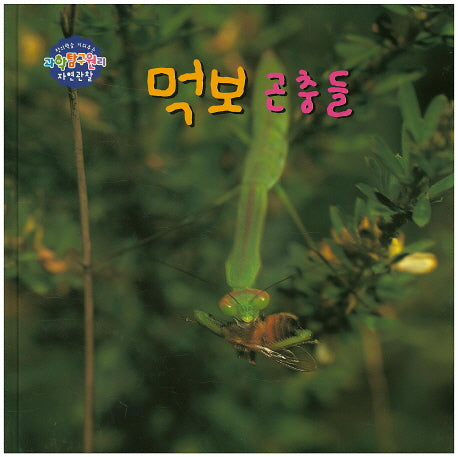 먹보 곤충들(창의력을 키워주는 과학탐구원리 자연관찰 24)(양장본 HardCover)