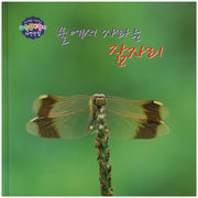 물에서 자라는 잠자리(창의력을 키워주는 과학탐구원리 자연관찰 28)(양장본 HardCover)