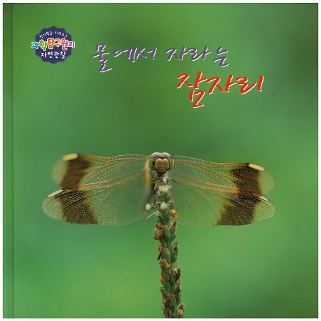 물에서 자라는 잠자리(창의력을 키워주는 과학탐구원리 자연관찰 28)(양장본 HardCover)