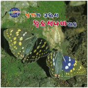날개가 고와서 왕오색나비래요(창의력을 키워주는 과학탐구원리 자연관찰 30)(양장본 HardCover)