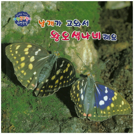 날개가 고와서 왕오색나비래요(창의력을 키워주는 과학탐구원리 자연관찰 30)(양장본 HardCover)