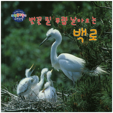 벚꽃 필 무렵 날아오는 백로(창의력을 키워주는 과학탐구원리 자연관찰 35)(양장본 HardCover)