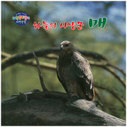 하늘의 사냥꾼 매(창의력을 키워주는 과학탐구원리 자연관찰 36)(양장본 HardCover)