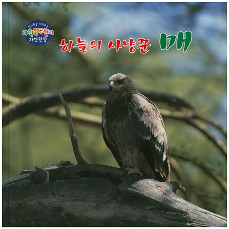 하늘의 사냥꾼 매(창의력을 키워주는 과학탐구원리 자연관찰 36)(양장본 HardCover)