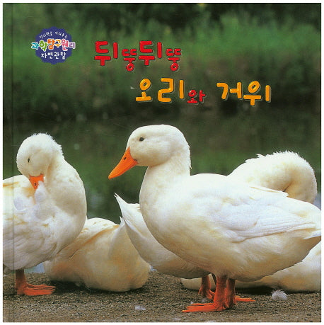 뒤뚱뒤뚱 오리와 거위(창의력을 키워주는 과학탐구원리 자연관찰 41)(양장본 HardCover)