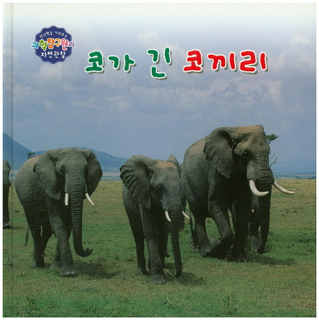 코가 긴 코끼리(창의력을 키워주는 과학탐구원리 자연관찰 43)(양장본 HardCover)