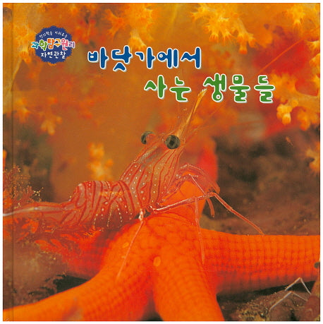 바닷가에서 사는 생물들(창의력을 키워주는 과학탐구원리 자연관찰 50)(양장본 HardCover)