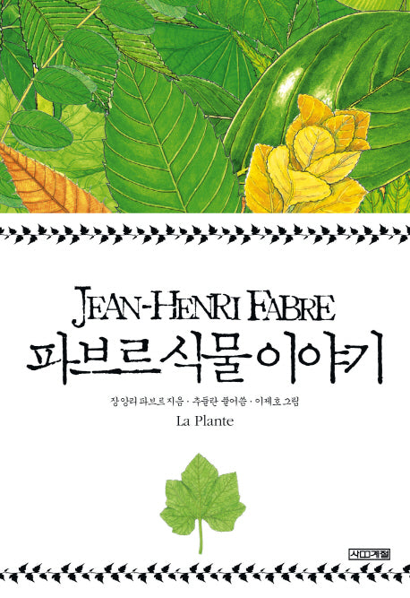 파브르 식물 이야기(양장본 Hardcover)