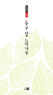 동구 앞 느티나무