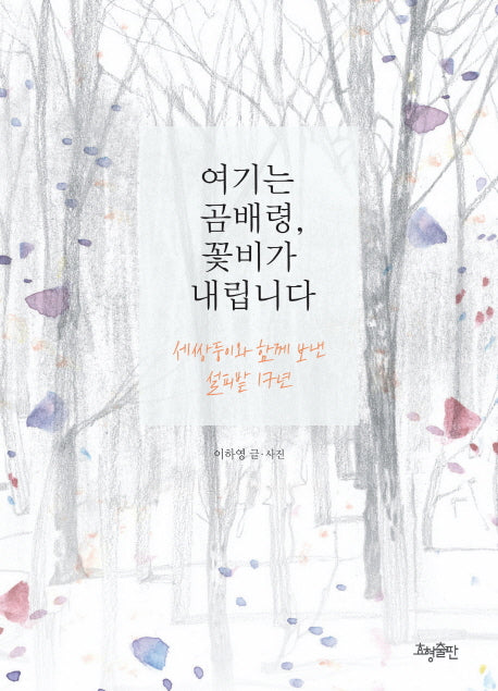 여기는 곰배령 꽃비가 내립니다
