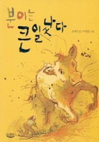 분이는 큰일났다(느림보 동화 3)