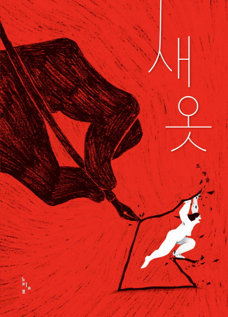새 옷(느림보 어른 그림책)(양장본 HardCover)