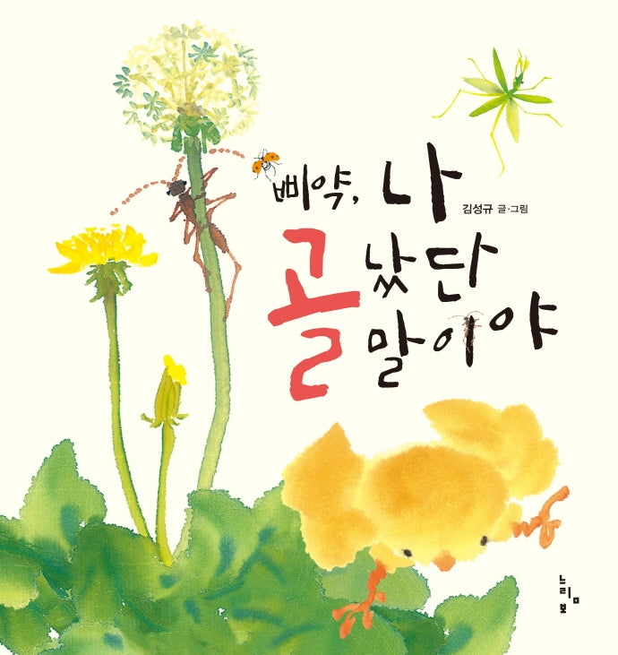 삐약, 나 골났단 말이야(그림책 놀이터 시리즈)