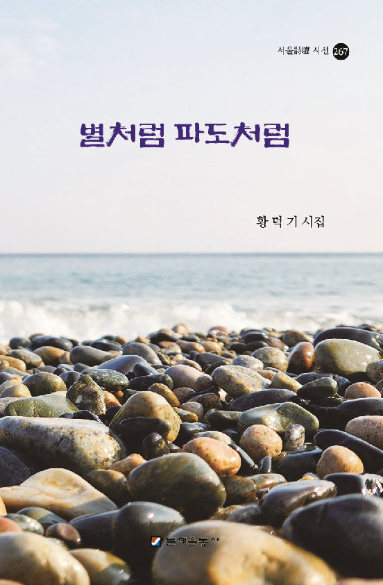 별처럼 파도처럼