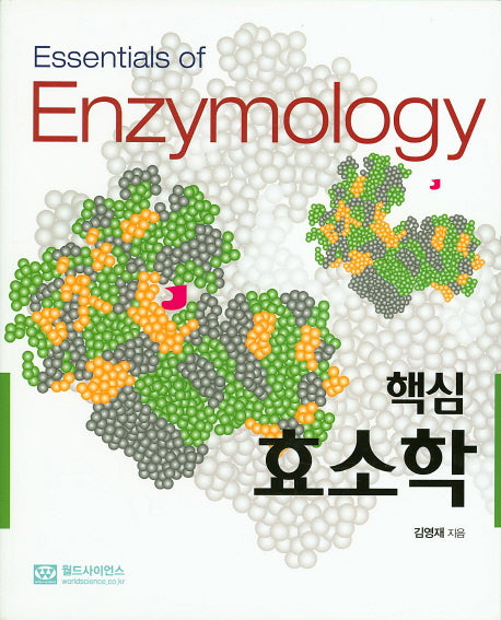 효소학(핵심)