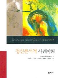 정신분석적 사례이해