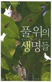 풀 위의 생명들(도시 근교 자연의 사계)