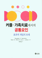 커플 가족치료에서의 공통요인