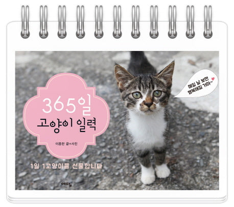 365일 고양이 일력(스프링)