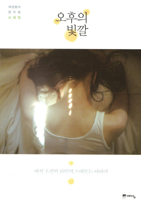 오후의 빛깔