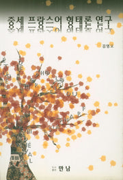 중세 프랑스어 형태론 연구
