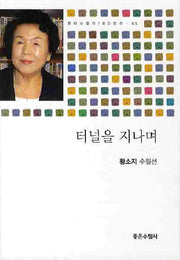 터널을 지나며(현대수필가 100인선 64)